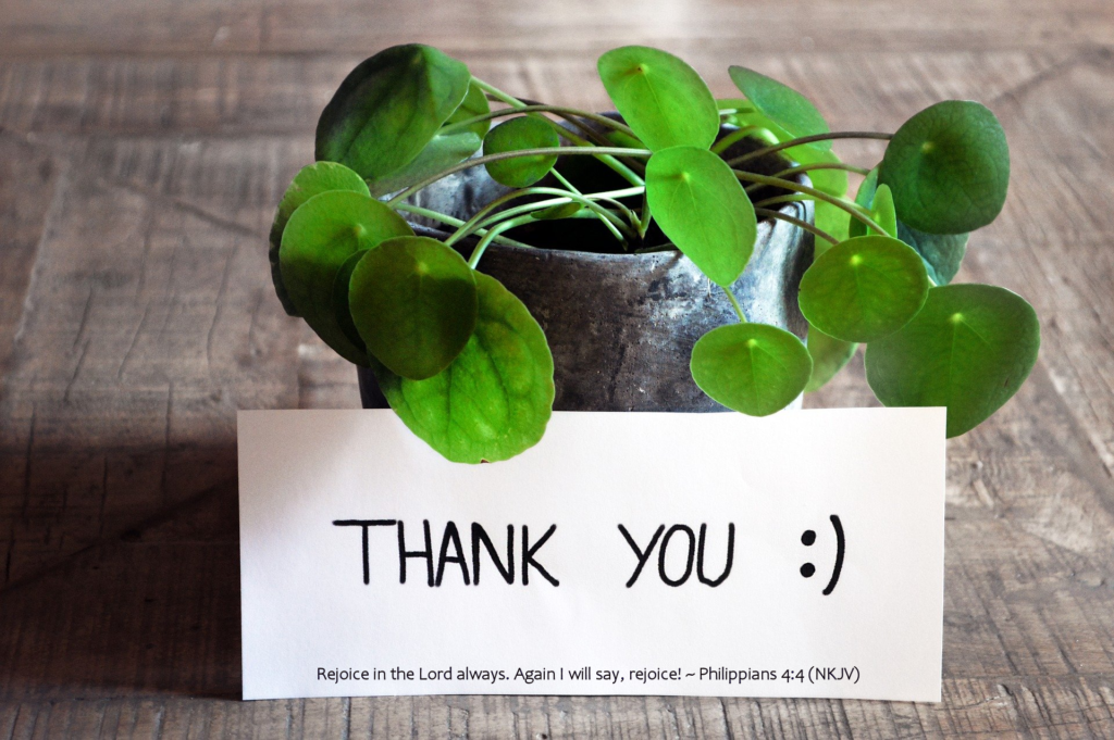 House plant with a thank you note that has a smiley face and a Bible verse from Philippians 4:4. Thank you for your contact.